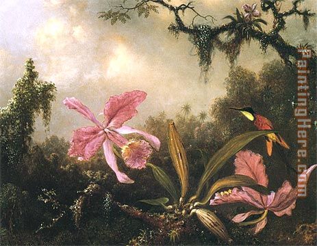 Orchids and Crimson Topaz Hummingbird painting - Martin Johnson Heade Orchids and Crimson Topaz Hummingbird art painting